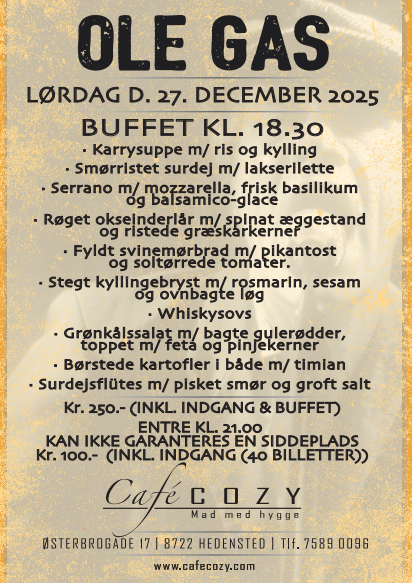 skærmbillede 2025-11-13 130754